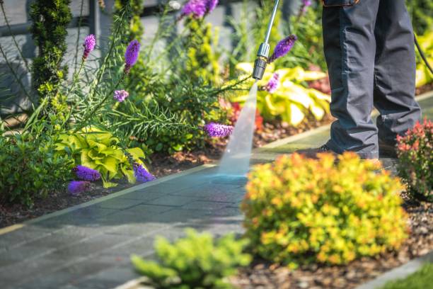 Best Gas Station Cleaning  in Rossville, GA