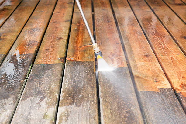 Best Animal Enclosure Cleaning  in Rossville, GA